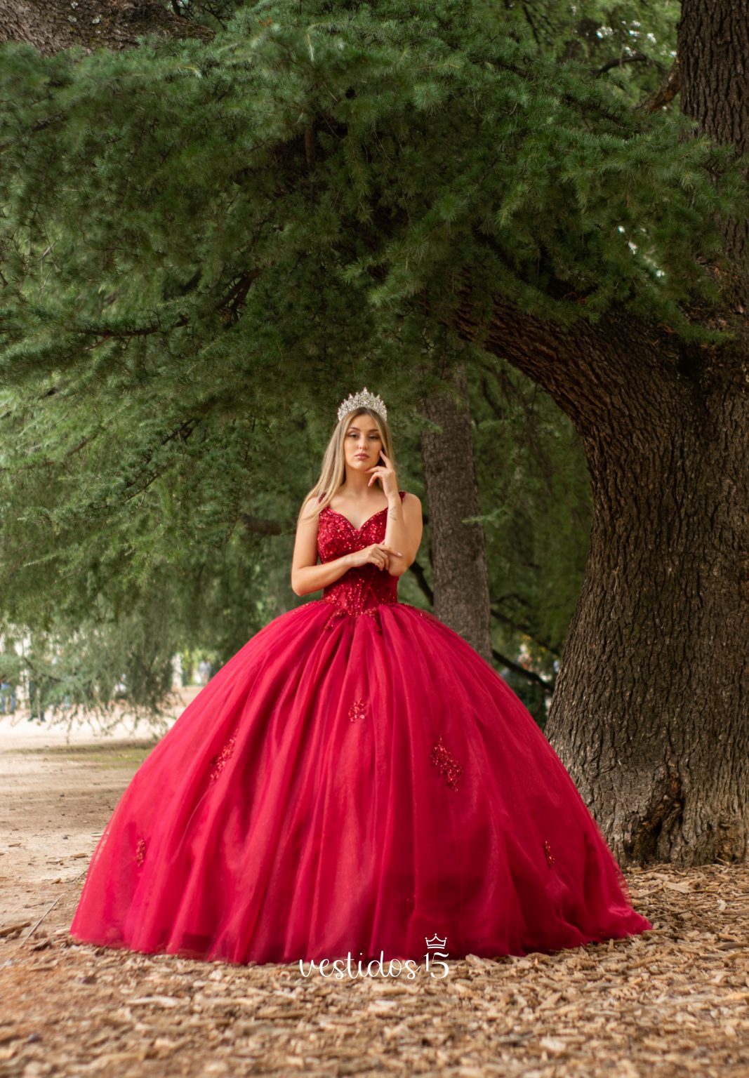 Alternative view of Vestido de 15 años Leo Borgoña