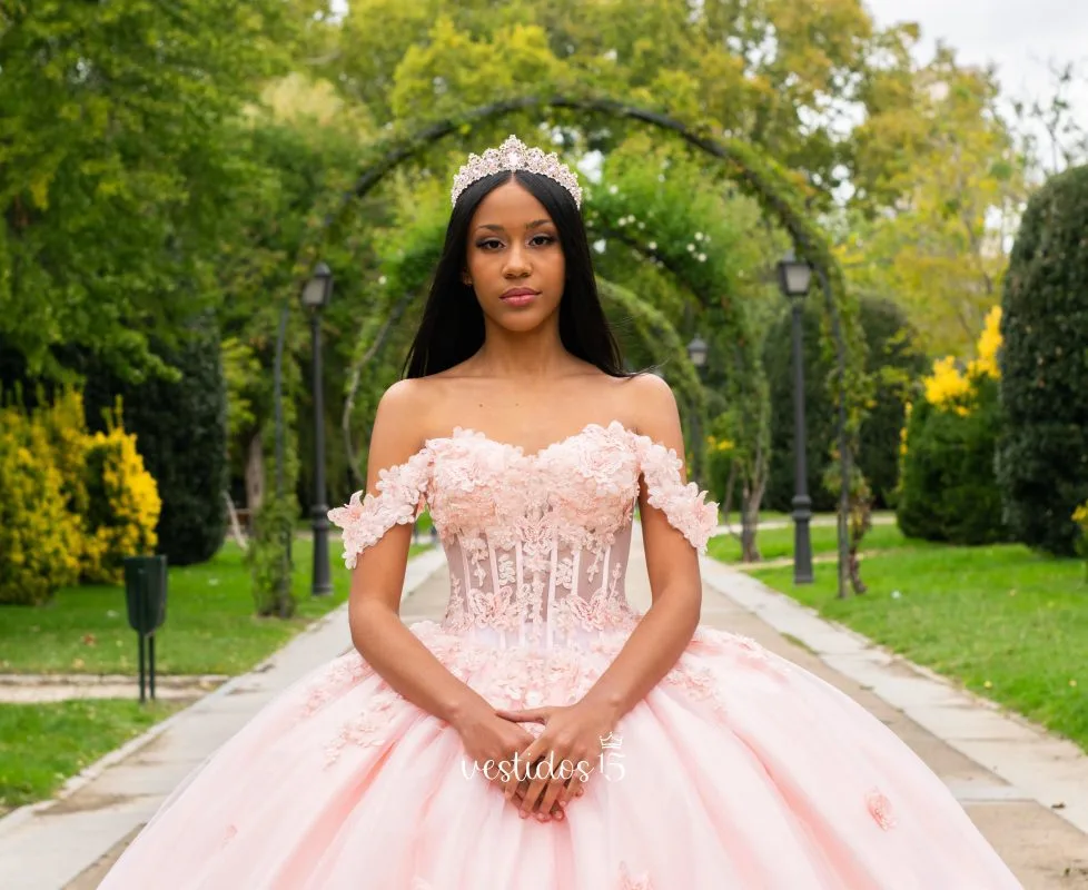 Vestido de 15 años Mariposa Rosa - Imagen 3