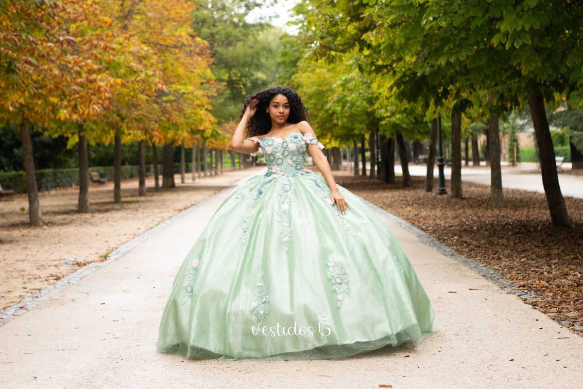 Vestido de 15 años Ariel Salvia