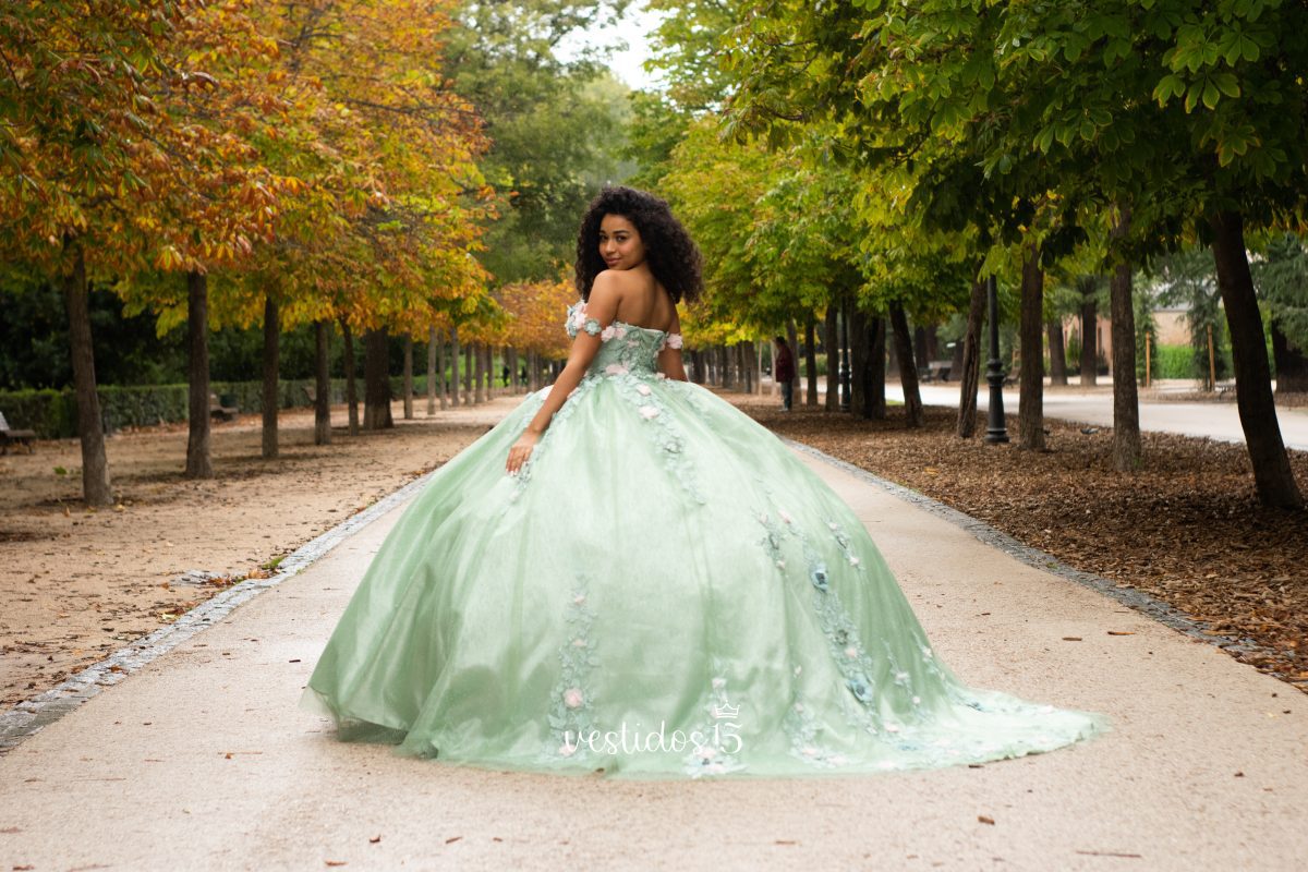 Alternative view of Vestido de 15 años Ariel Salvia