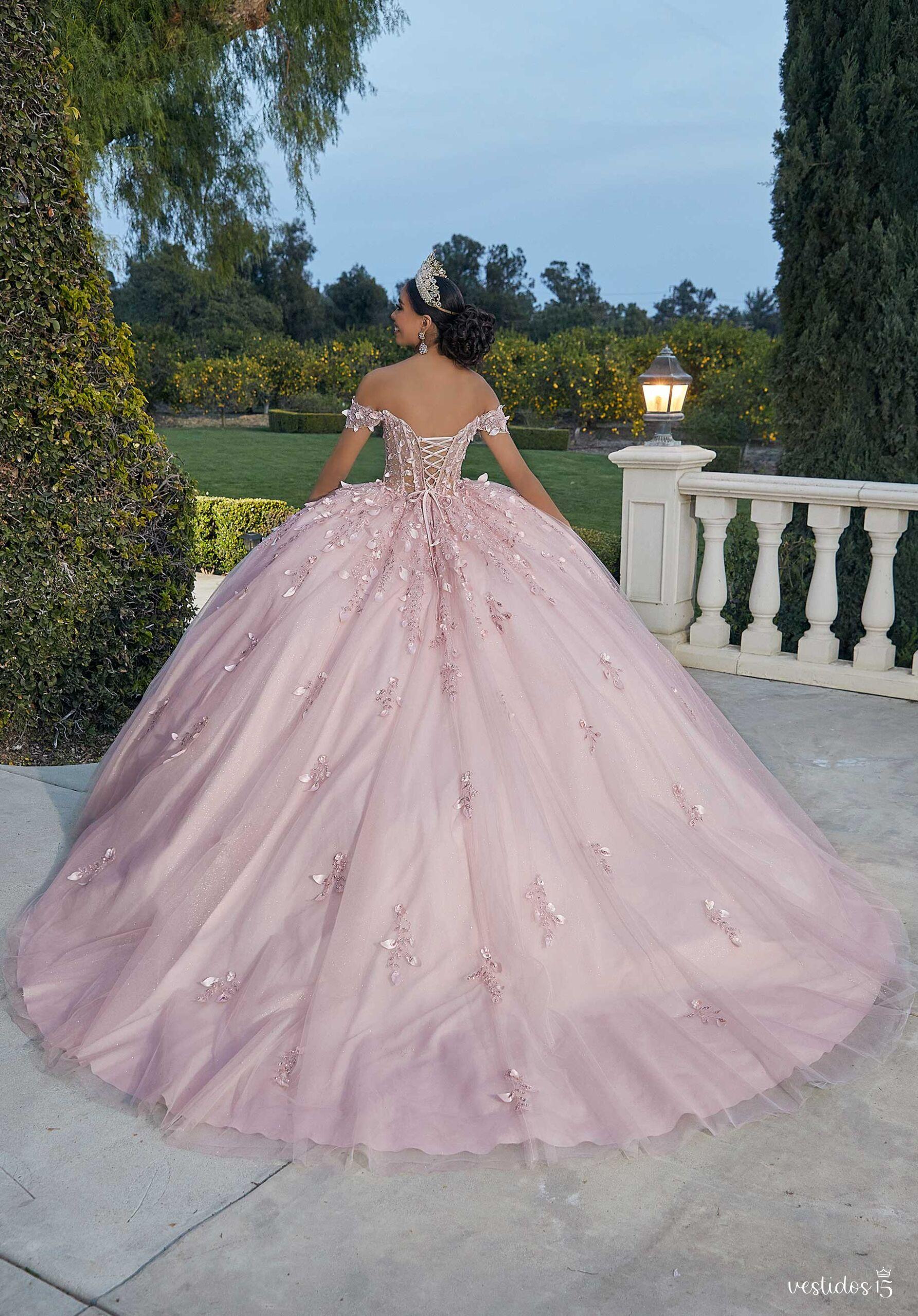 Vestido de 15 años Ángela Rosa Palo Vestido de 15 años Ángela Rosa Palo - Imagen 3